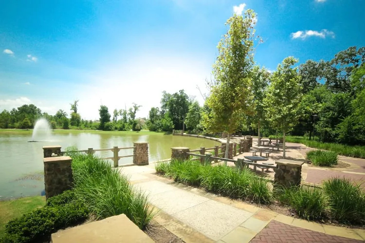 Top-rated yard cleanup service near you in Houston, TX by Yellowstone Landscape