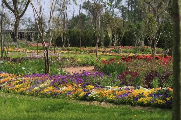 Top-rated lawn care service experts serving Houston, TX - Yellowstone Landscape