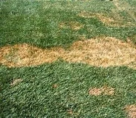 Reliable outdoor landscaping for residential properties in Lilburn, GA by Yellowstone Landscape