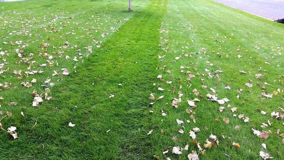 Reliable landscaping services in Billings, MT - Yellowstone Lawn Service