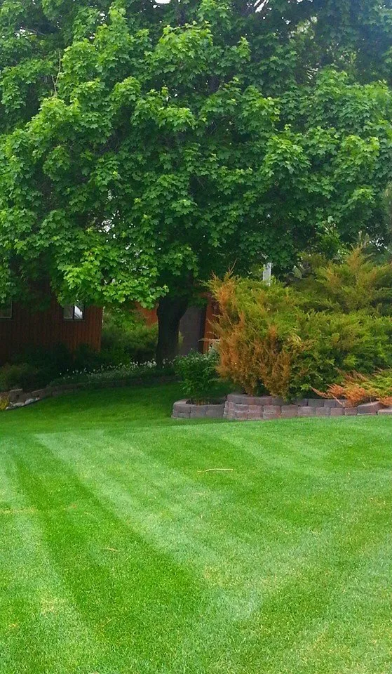 Expert outdoor landscaping for beautiful yards in Billings, MT by Yellowstone Lawn Service