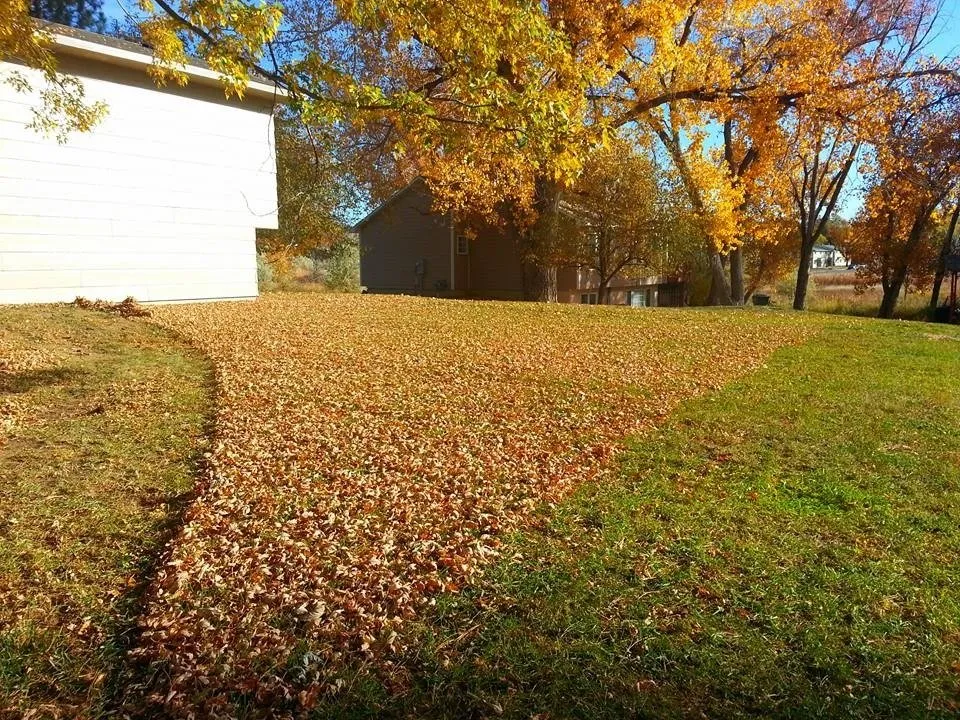 Trusted landscape design in Billings, MT - Yellowstone Lawn Service