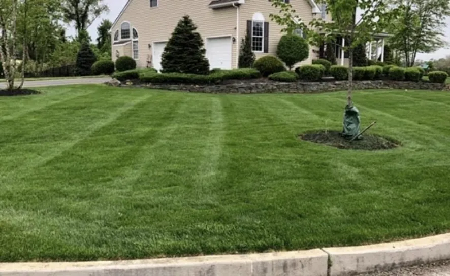 Professional garden landscaping for outdoor upgrades in Denver, CO by Yelowstone Landscape & Construction