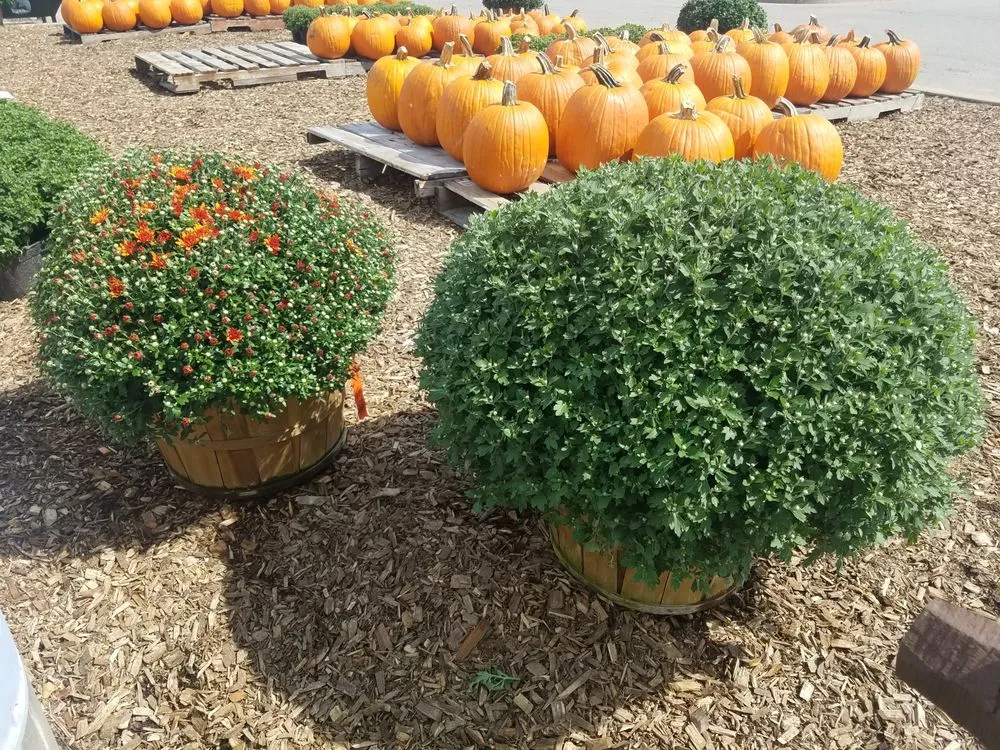 Custom outdoor landscaping in Wheeling, WV - Yensen Landscape Supply