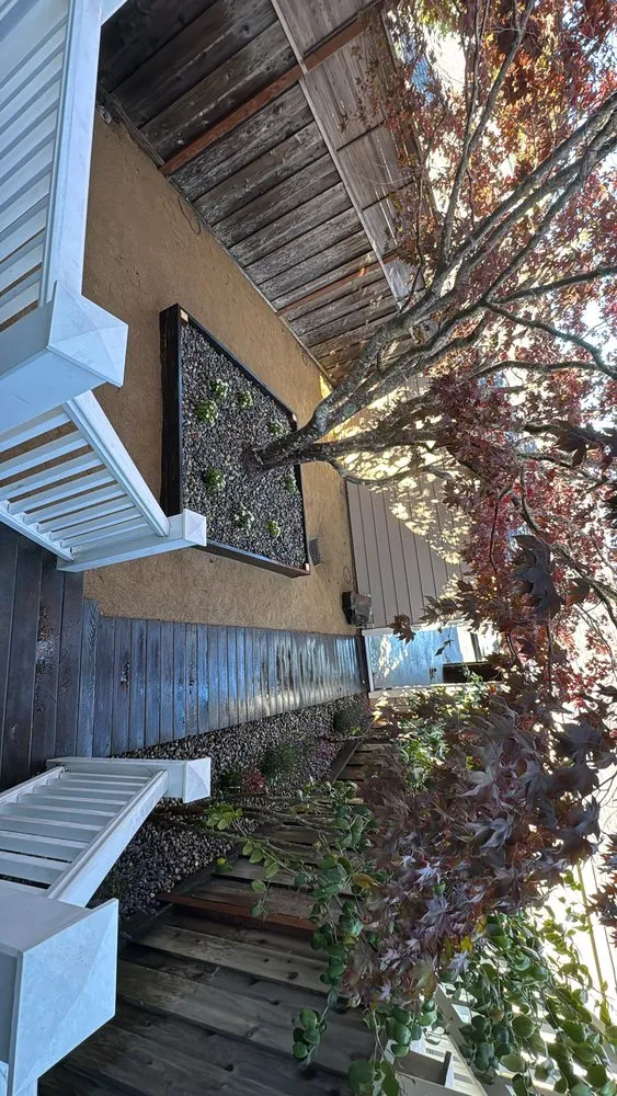 Local outdoor landscaping in Fairfax, CA - Yepez & Sons Landscape