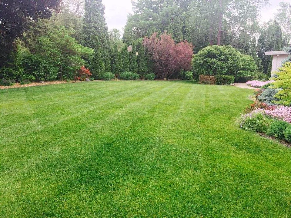 Professional yard maintenance experts serving Adrian, MI - Yepez Landscaping