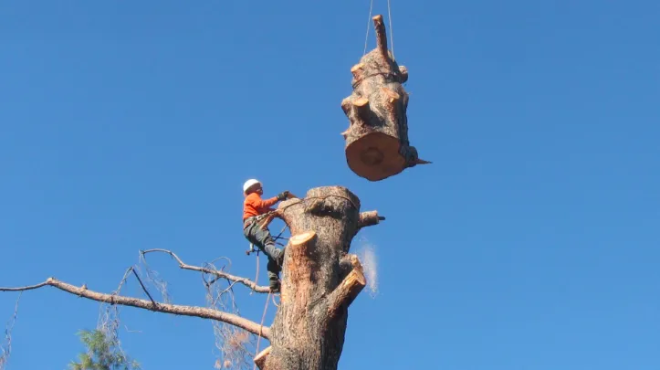 Trusted garden landscaping in Altadena, CA by Yepez Services