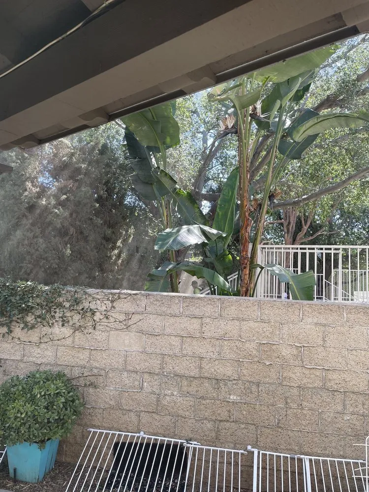 Top-rated landscaping services in Altadena, CA - Yepez Services