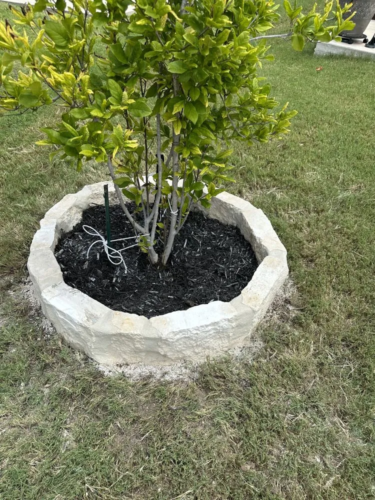 Top-rated yard maintenance experts serving San Antonio, TX - Yepez Yard Masters