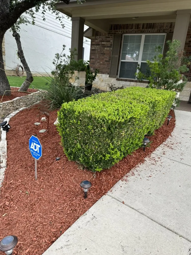 Trusted yard cleanup service in San Antonio, TX - Yepez Yard Masters