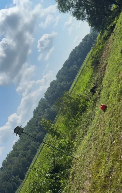 Custom lawn mowing service in Hague, VA by Yerby Brother's Lawn