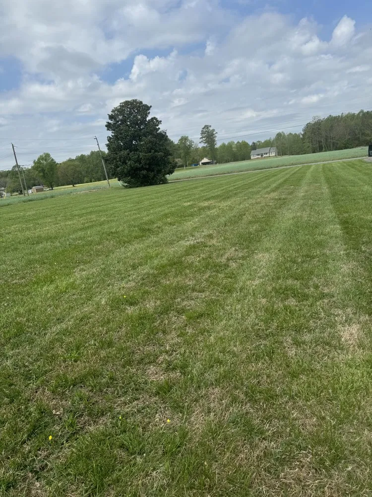 Top-rated residential landscaping in Hague, VA - Yerby Brother's Lawn