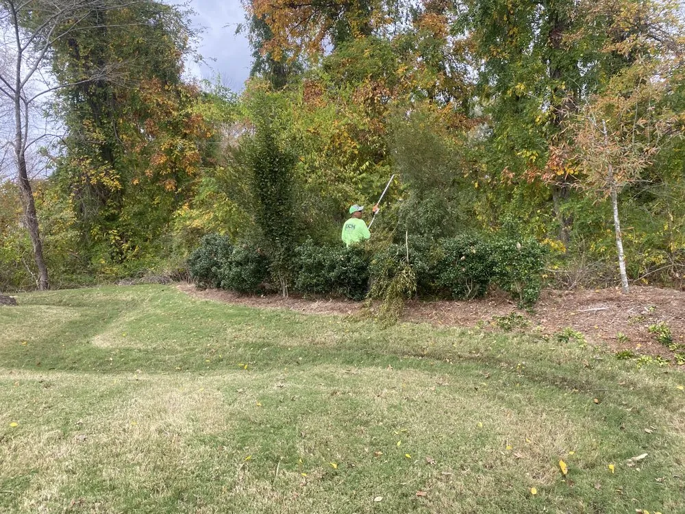Top-rated landscape installation for residential properties in Cary, NC by Yerik Landscapes