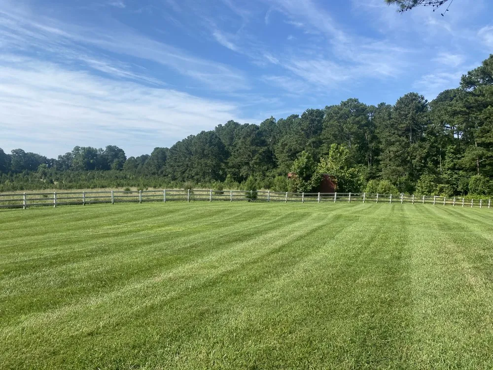 Local yard cleanup service with custom design across Cary, NC - Yerik Landscapes