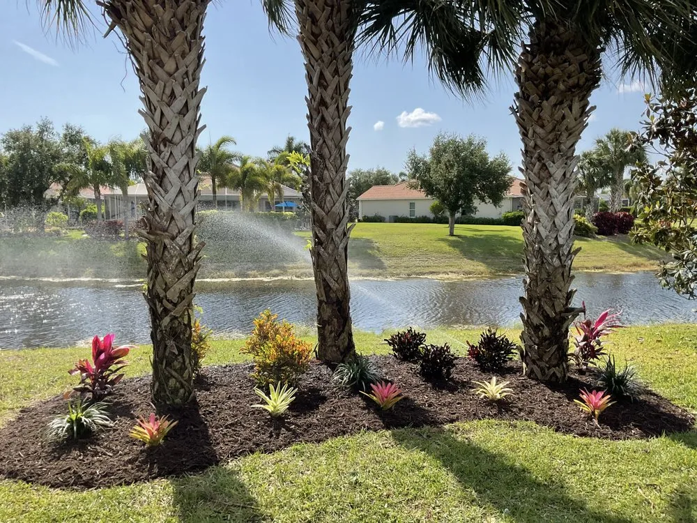 Reliable yard cleanup service near you across Naples, FL - Yerkes Landscaping
