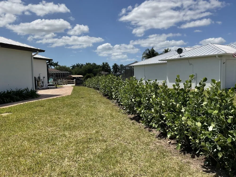 Top-rated landscaping services in Naples, FL - Yerkes Landscaping