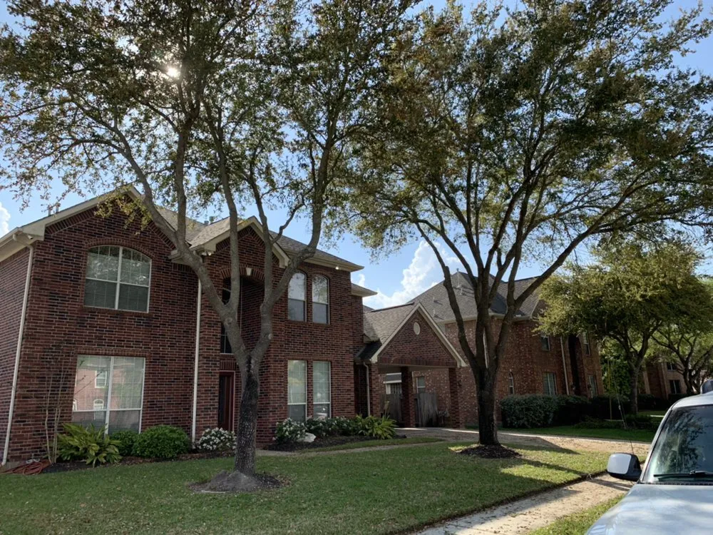 Affordable yard cleanup service experts serving Pearland, TX - Yes Landscaping