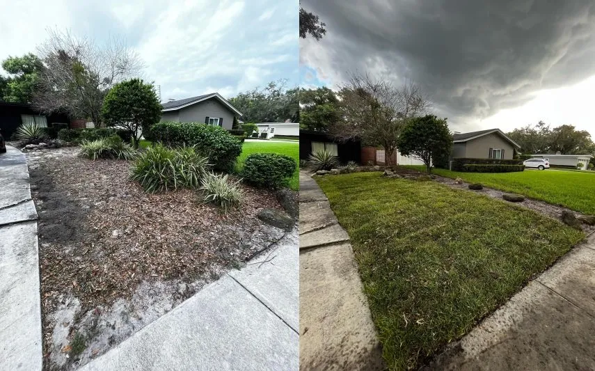 Top-rated residential landscaping in Pine Hills, FL by Yes We Can Landscaping