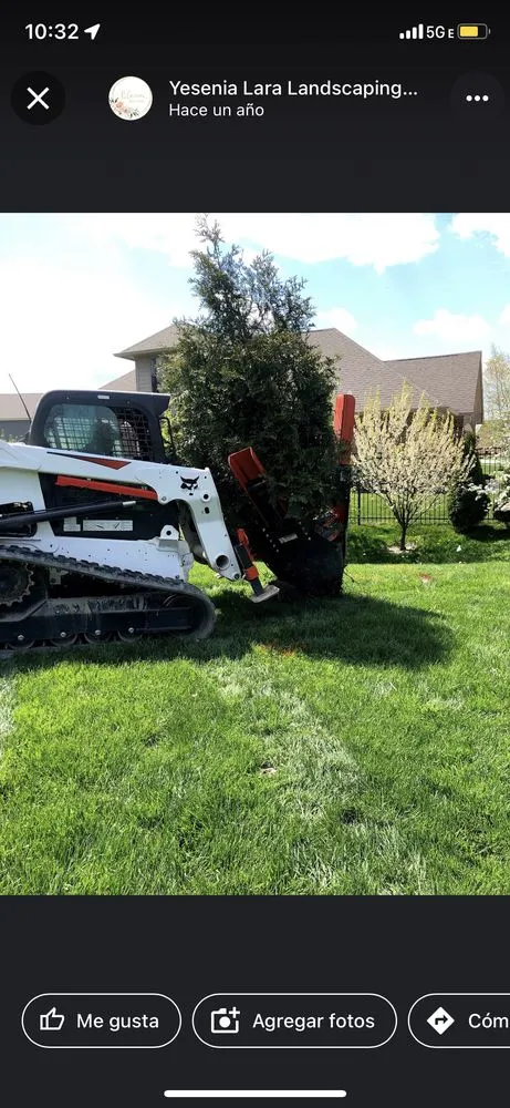 Top-rated residential landscaping in Indianápolis, IN - Yesenia Lara Landscaping