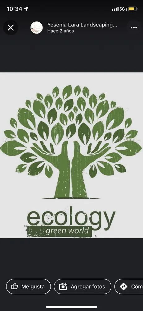 Professional yard maintenance experts serving Indianápolis, IN - Yesenia Lara Landscaping