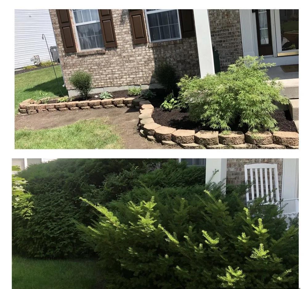 Affordable yard cleanup service for year-round maintenance across Indianápolis, IN - Yesenia Lara Landscaping