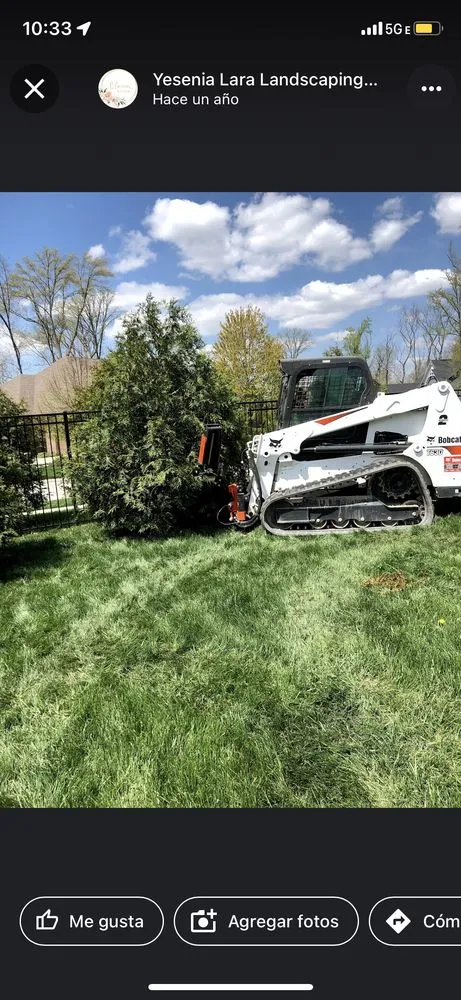 Top-rated residential landscaping for beautiful yards across Indianápolis, IN - Yesenia Lara Landscaping