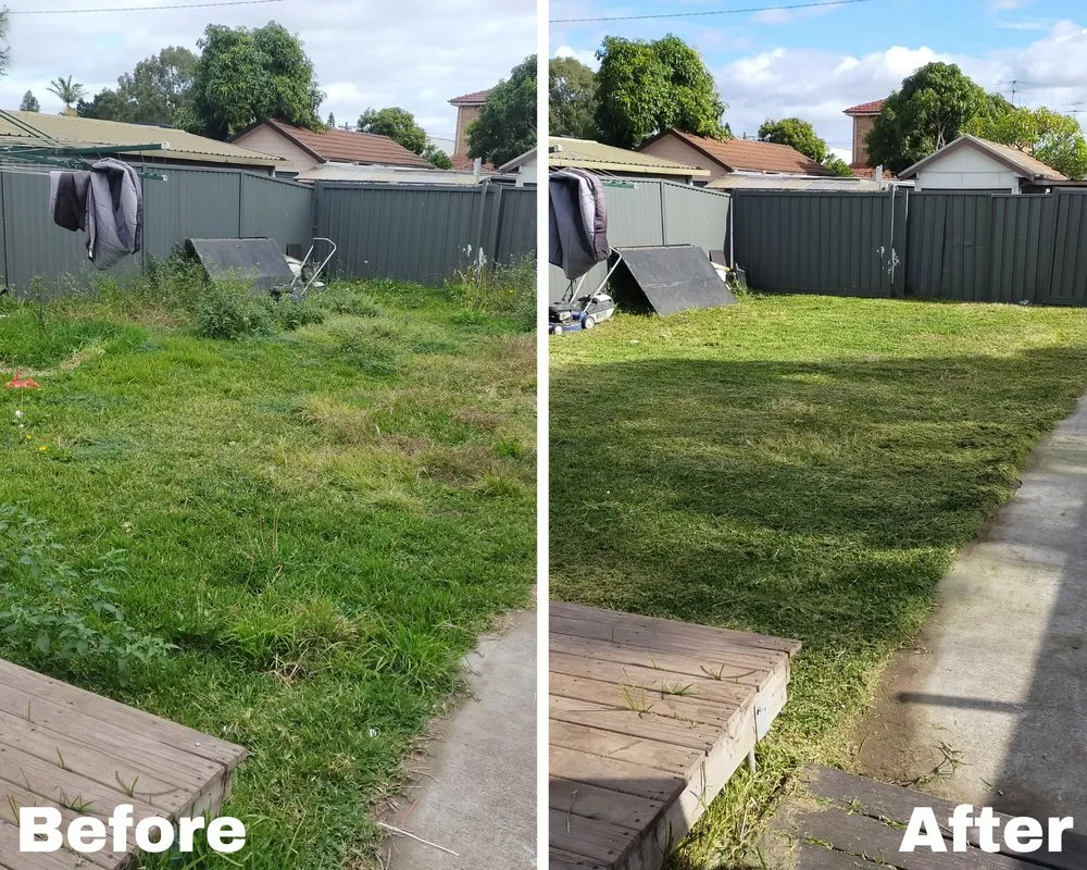 Expert landscape design for year-round maintenance in Stockton, CA by Yesha Junk Removal