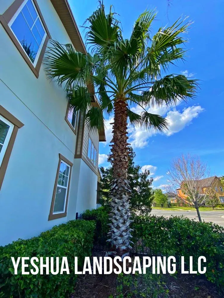 Expert landscape design experts serving Daventport, FL - Yeshua Landscaping
