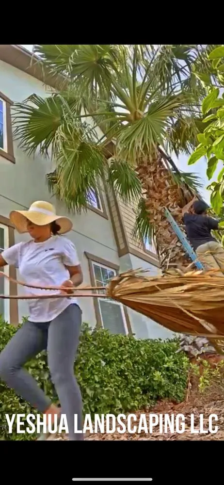 Top-rated landscaping services in Daventport, FL - Yeshua Landscaping