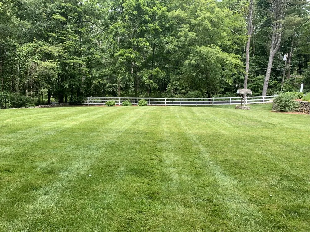 Professional outdoor landscaping for homes in Daventport, FL by Yeshua Landscaping