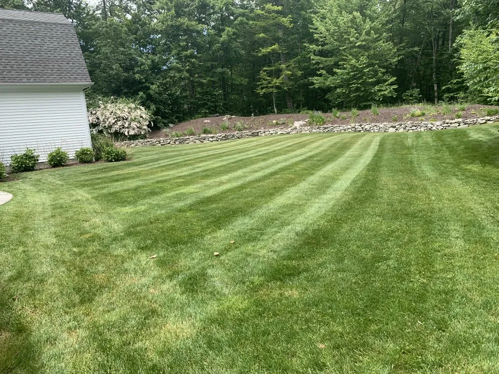 Affordable lawn mowing service in Daventport, FL - Yeshua Landscaping