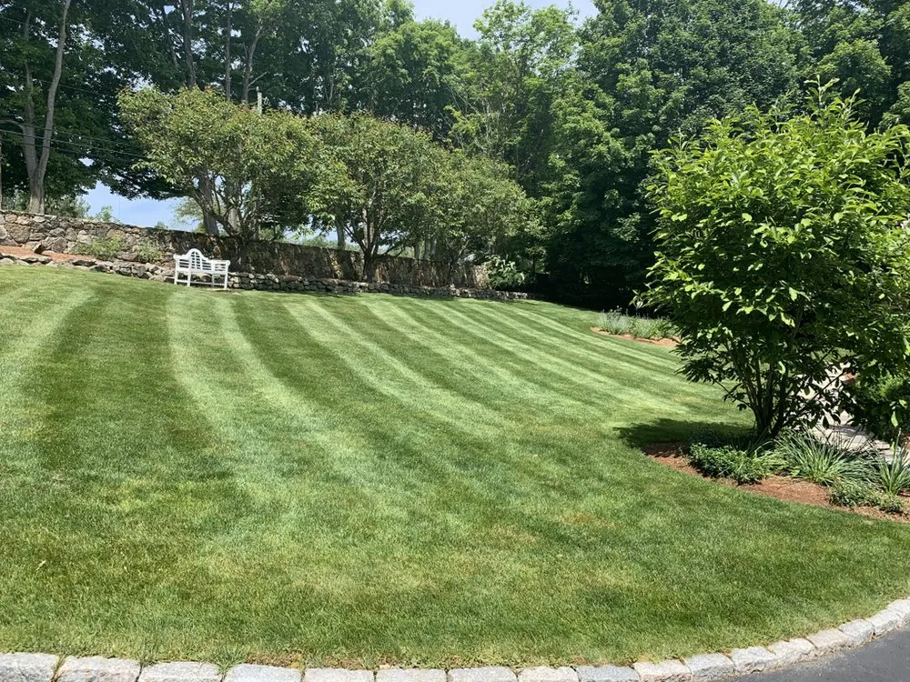 Trusted lawn care service for beautiful yards in Daventport, FL by Yeshua Landscaping
