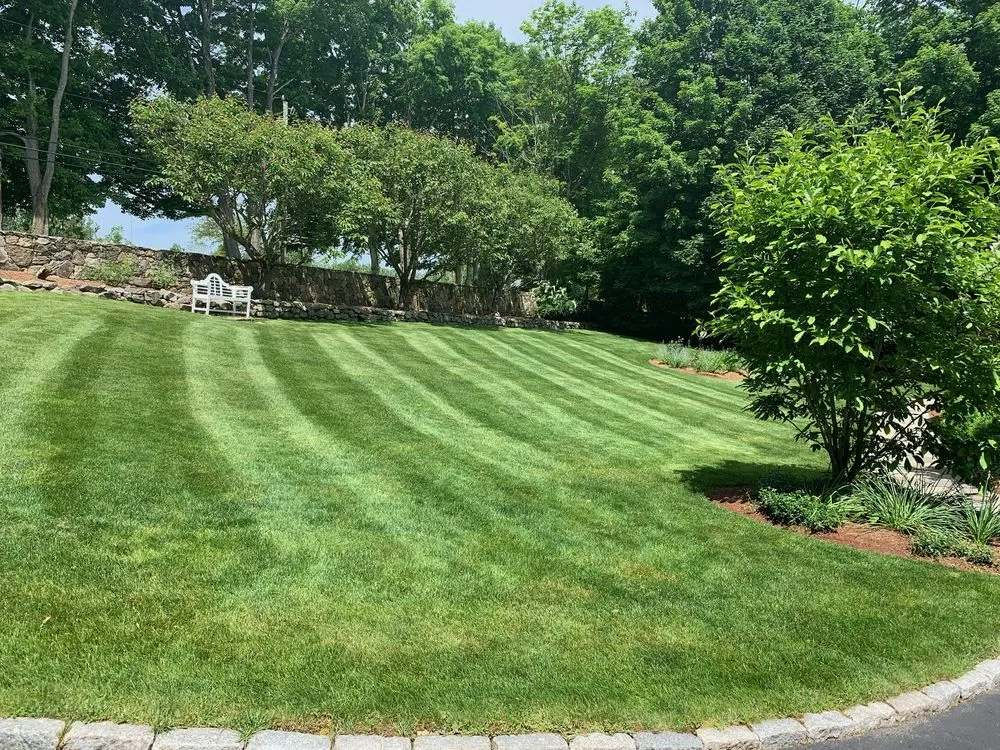 Top-rated lawn care service for beautiful yards across Daventport, FL - Yeshua Landscaping