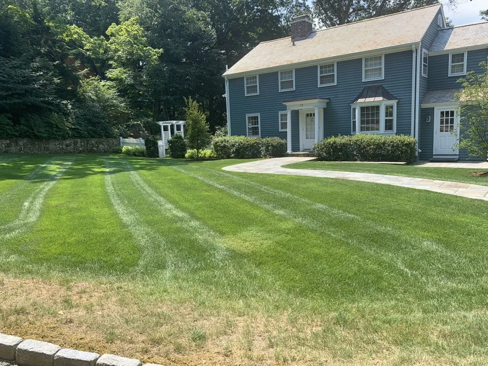 Local lawn care service experts serving Daventport, FL - Yeshua Landscaping