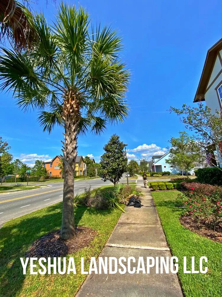 Affordable outdoor landscaping in Daventport, FL - Yeshua Landscaping
