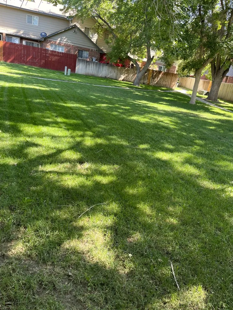 Custom outdoor landscaping in Fort Lupton, CO by Yeti Complete Services