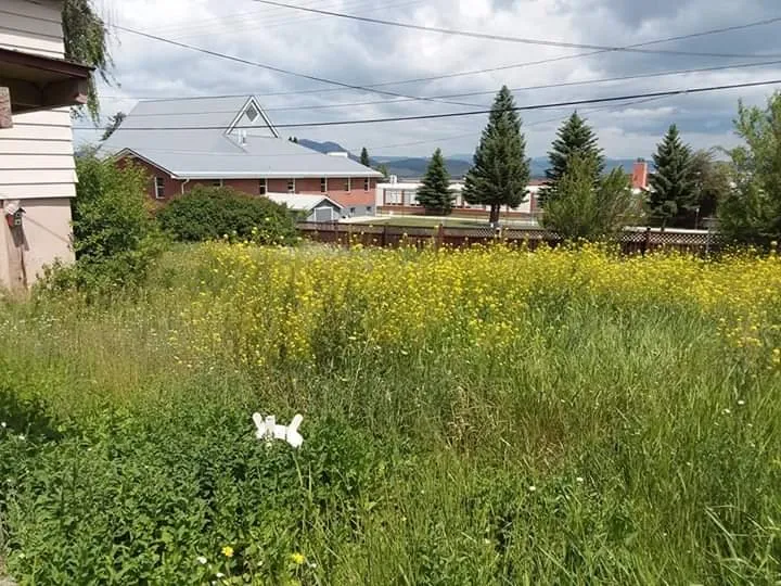 Trusted residential landscaping in Helena, MT by Yeti Snow and Lawn Services