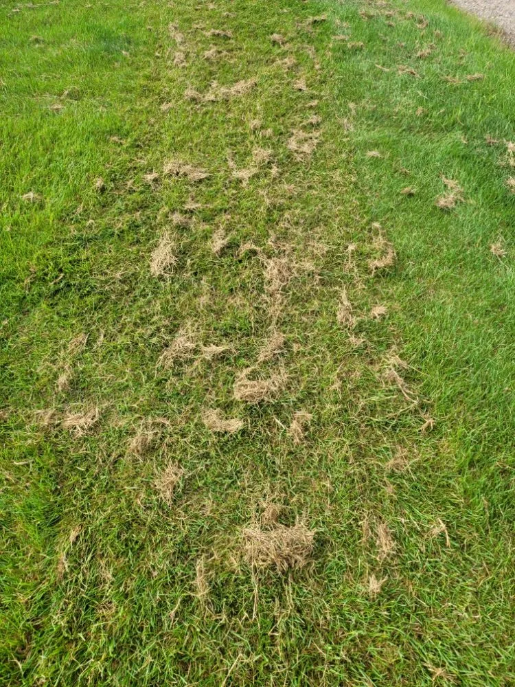 Trusted garden landscaping experts serving Helena, MT - Yeti Snow and Lawn Services