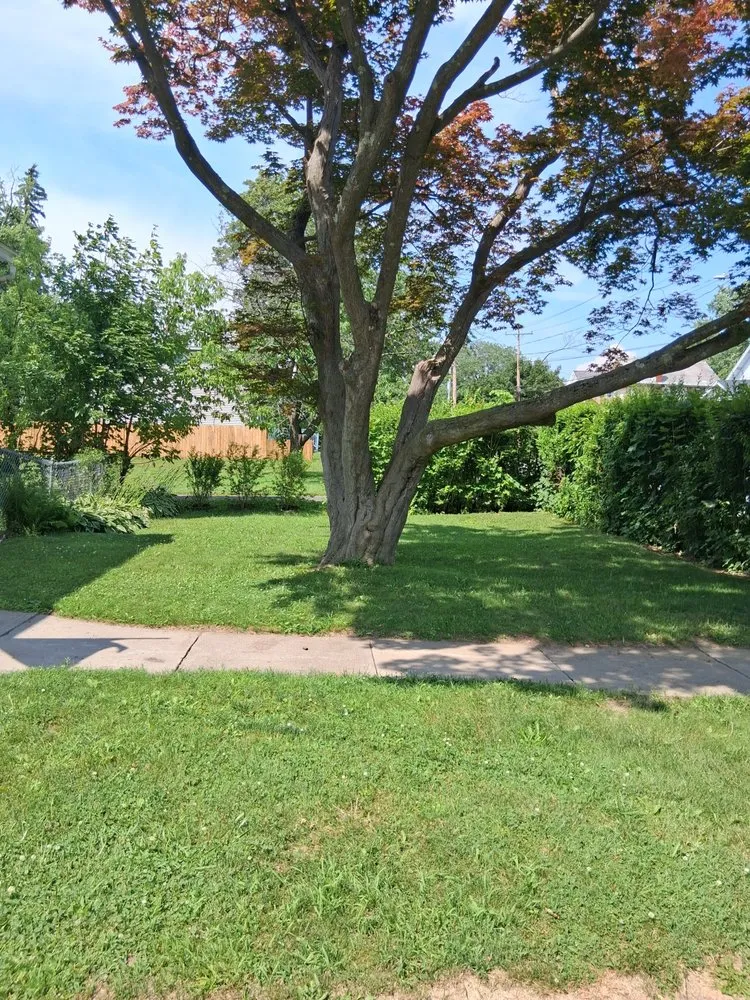 Reliable lawn care service experts serving Schenectady, NY - Yetman Lawn Care