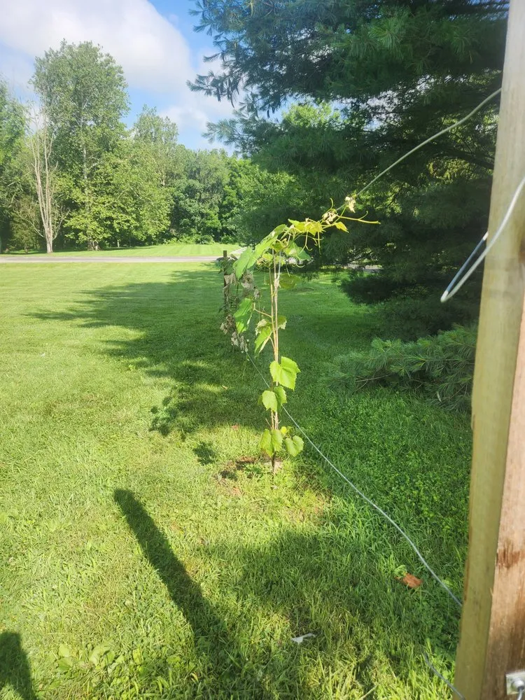 Reliable landscape installation in Hagerstown, MD by Yetter's Lawn Care