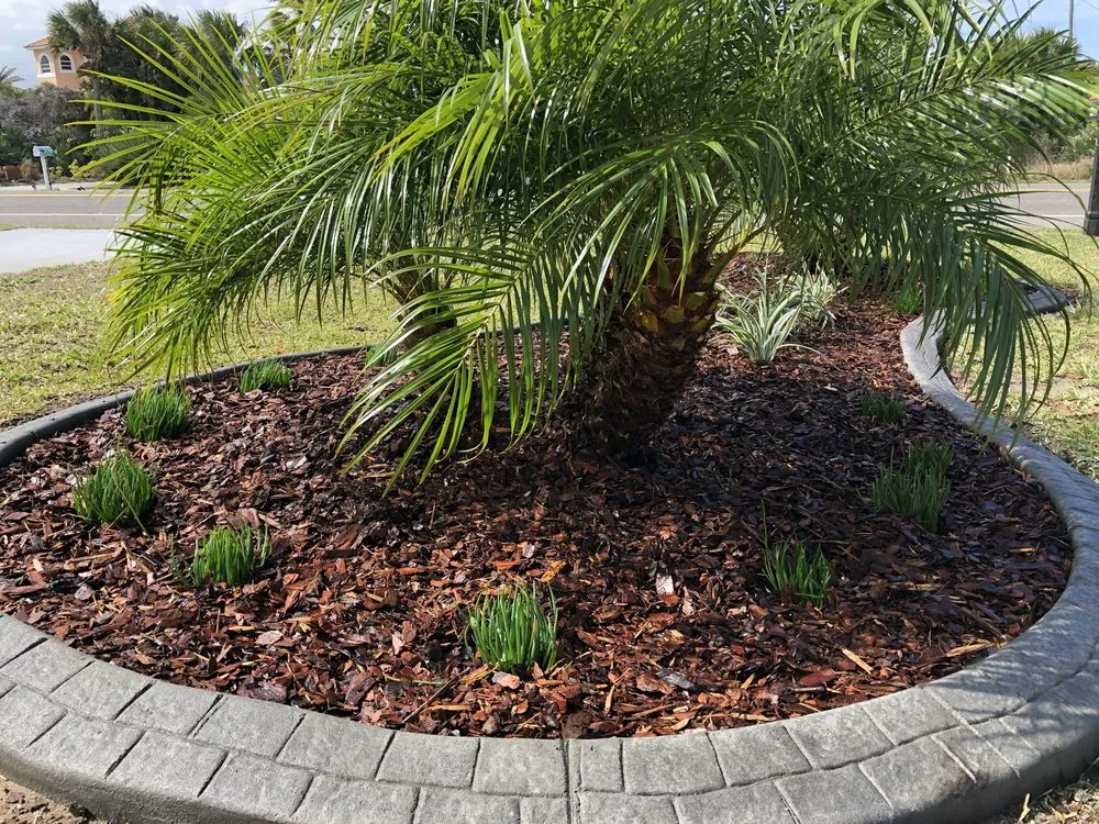 Expert yard cleanup service for homes across Palm Coast, FL - Yetti Landscape