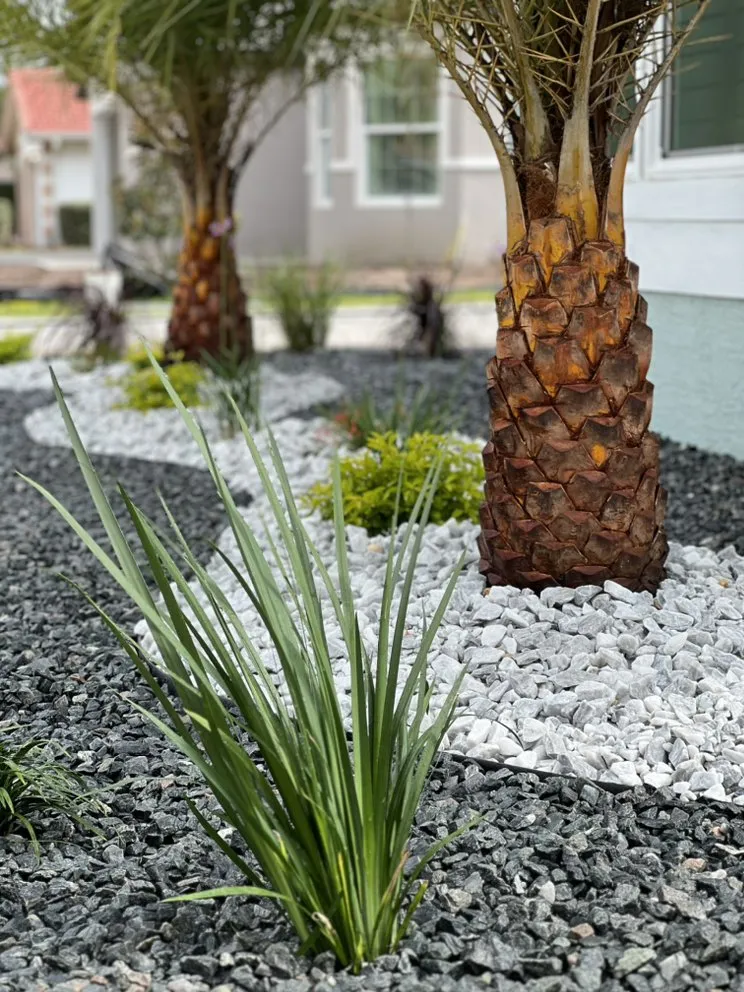 Local lawn care service in Palm Coast, FL by Yetti Landscape