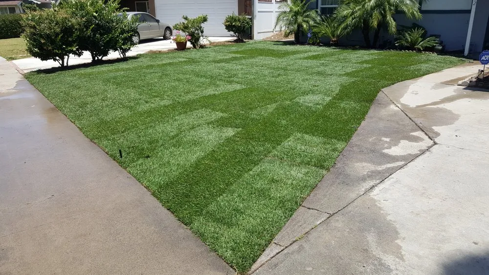 Custom residential landscaping in Garden Grove, CA by YG Lawn Care