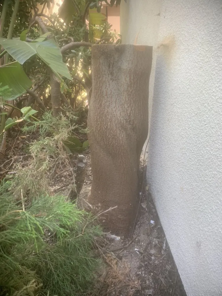 Reliable yard maintenance for residential properties across Garden Grove, CA - YG Lawn Care