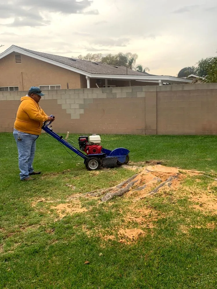 Expert outdoor landscaping experts serving Garden Grove, CA - YG Lawn Care