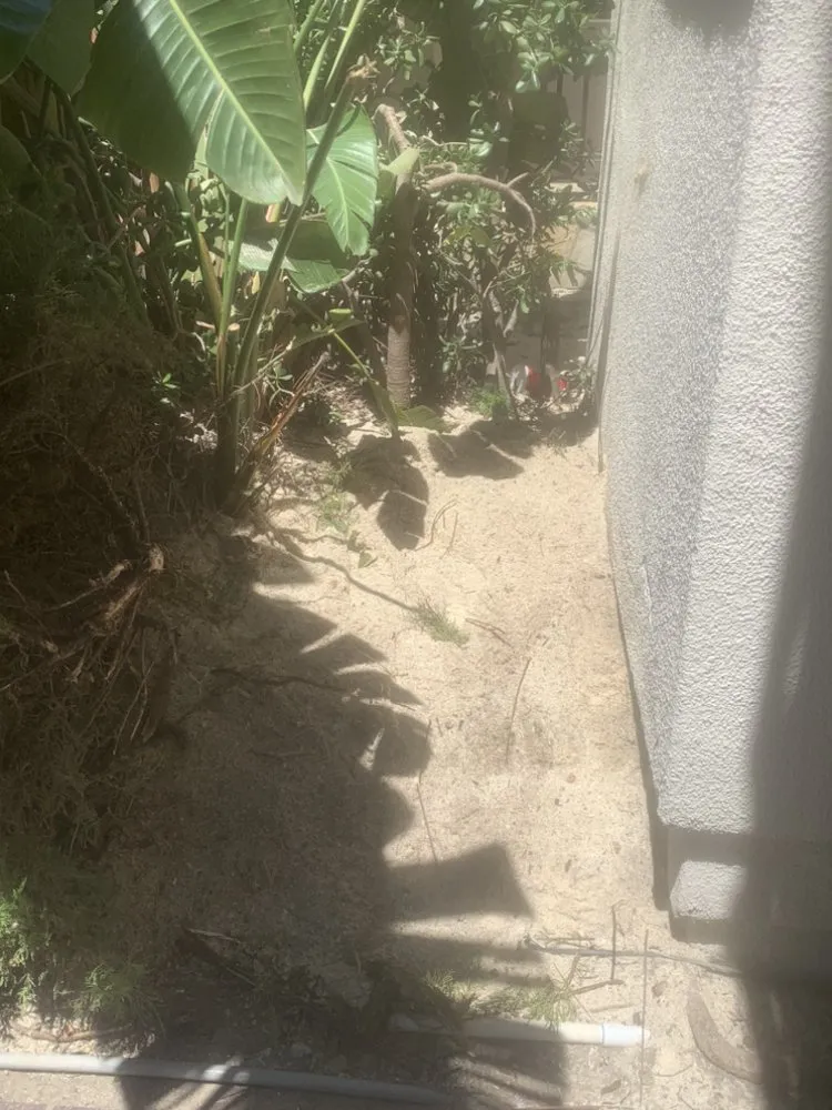 Reliable yard cleanup service for outdoor upgrades across Garden Grove, CA - YG Lawn Care