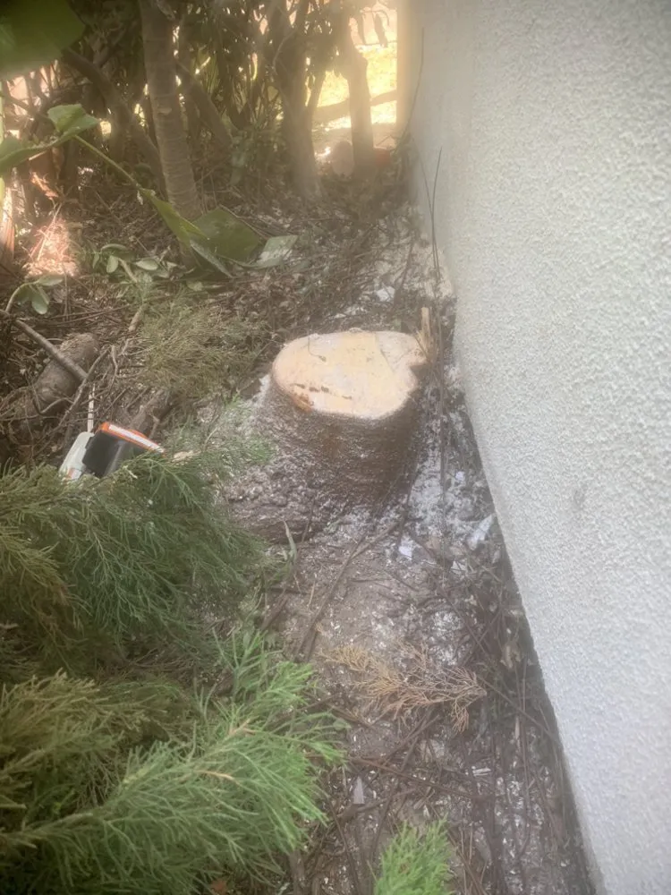 Reliable outdoor landscaping in Garden Grove, CA - YG Lawn Care