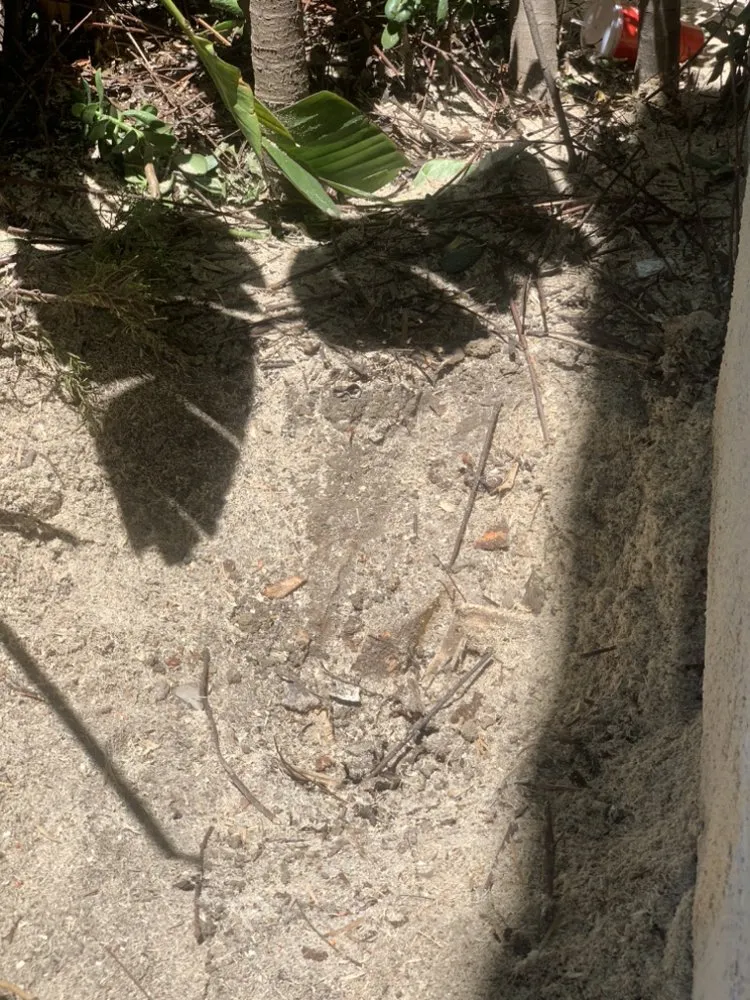 Expert outdoor landscaping for residential properties across Garden Grove, CA - YG Lawn Care