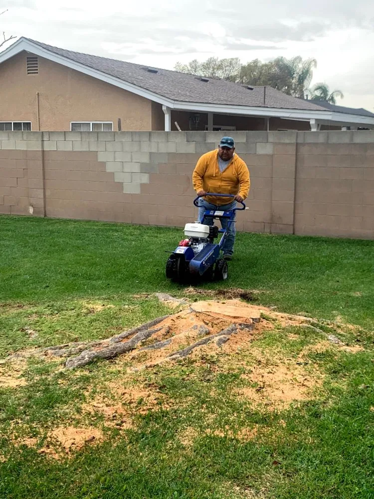 Professional garden landscaping in Garden Grove, CA by YG Lawn Care