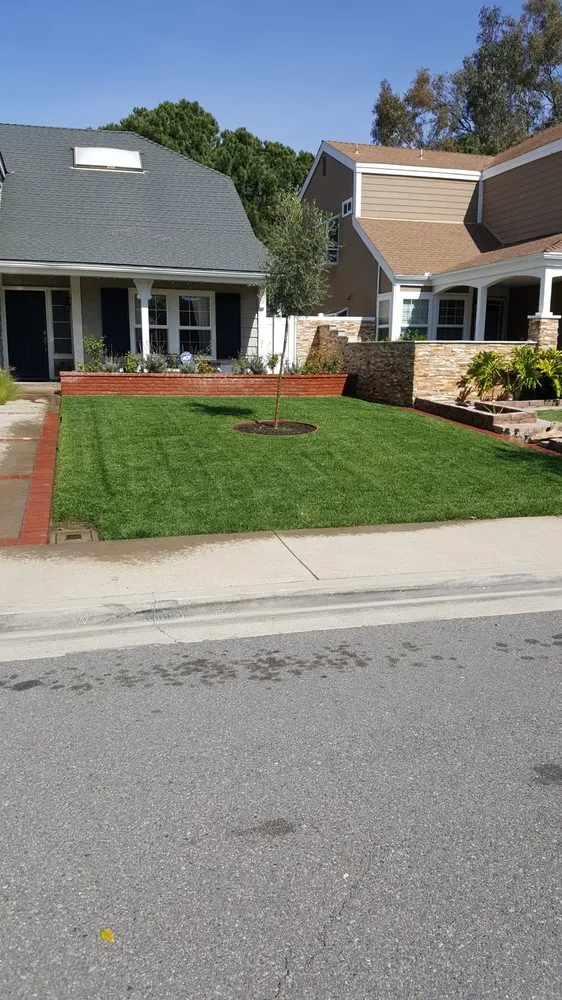 Trusted lawn care service experts serving Garden Grove, CA - YG Lawn Care